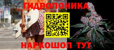МДПВ Дубна