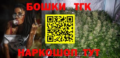 МДПВ Дубна